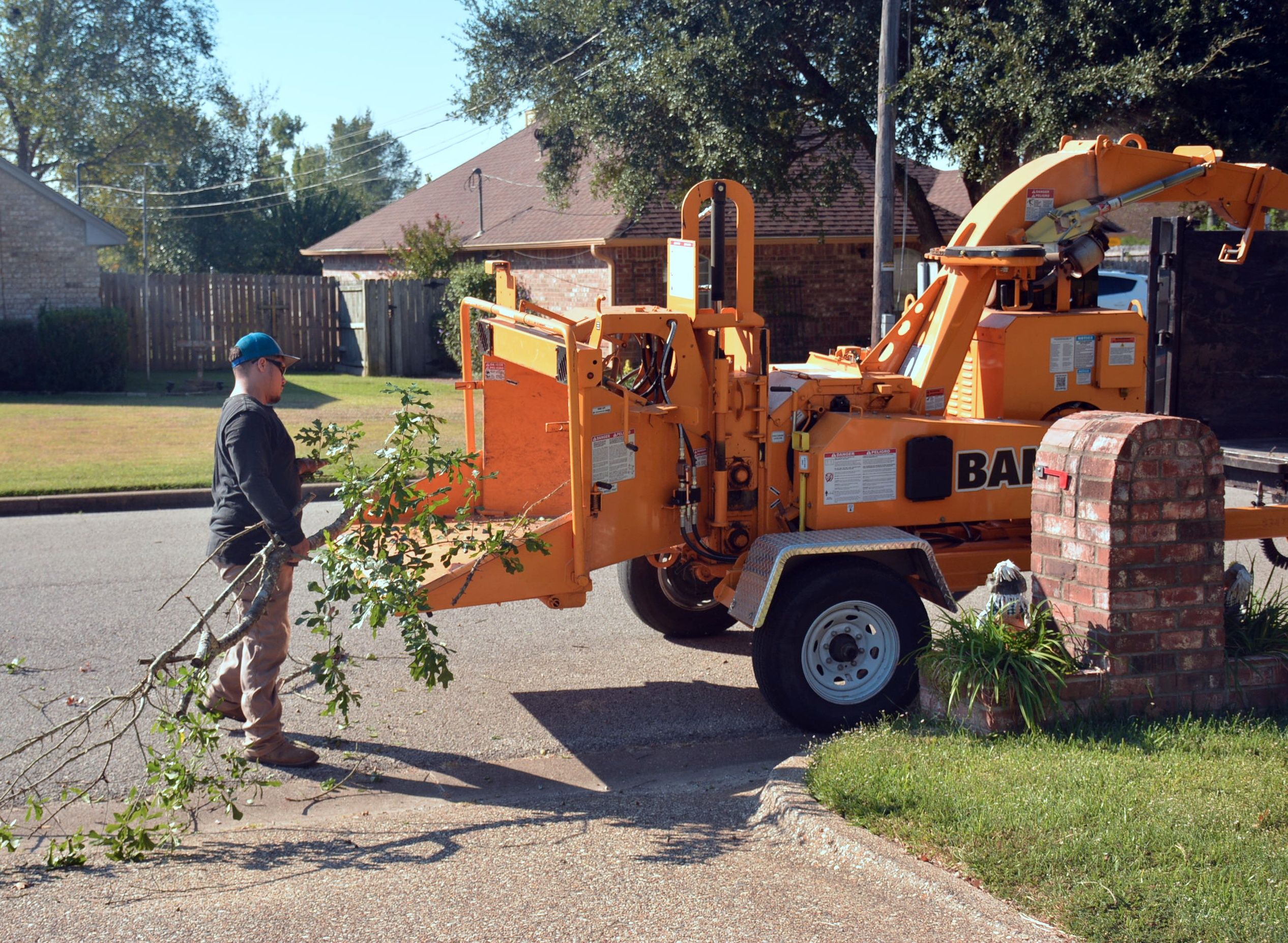 Stump grinding service