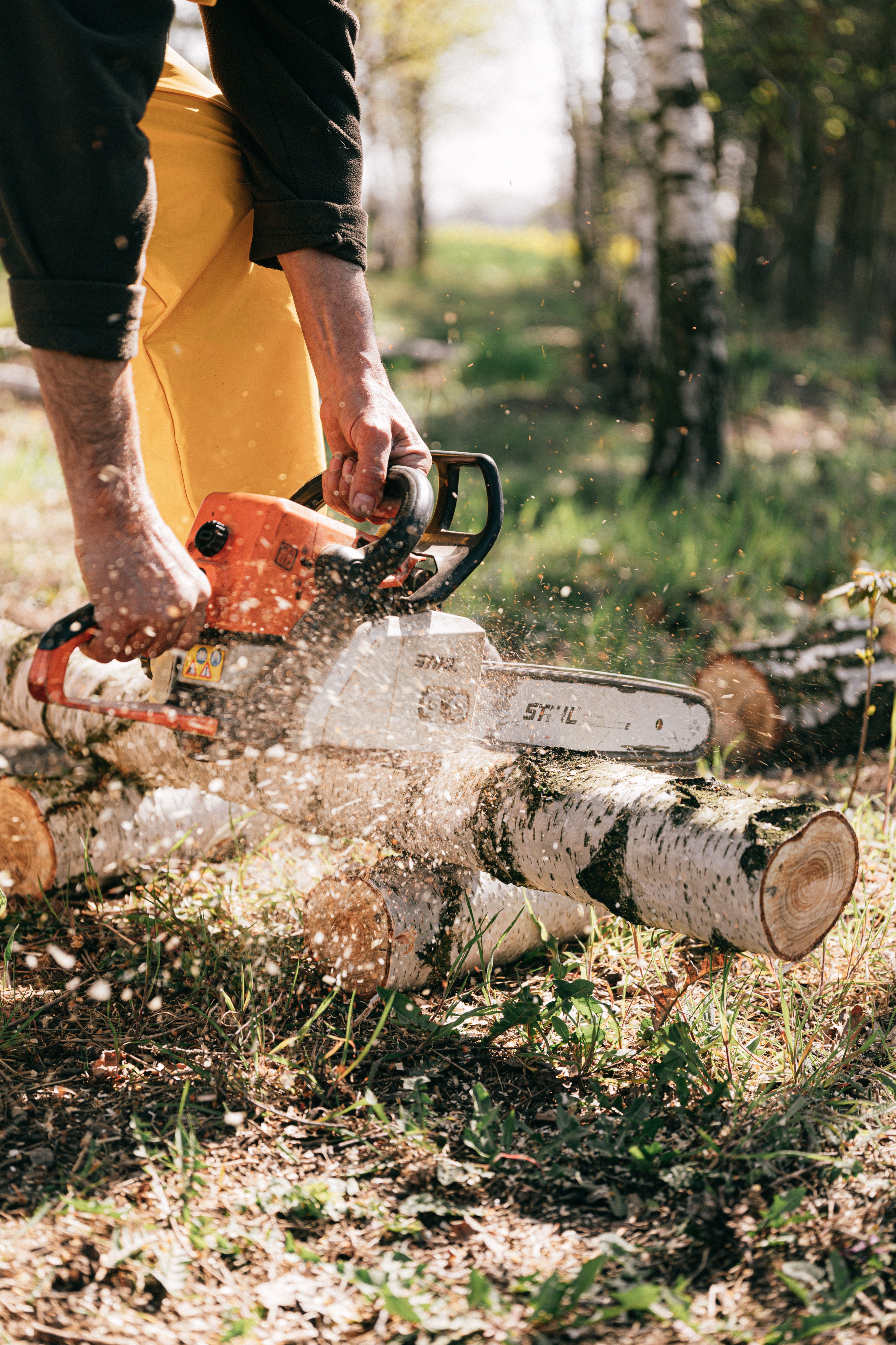 Clean worksite after tree service