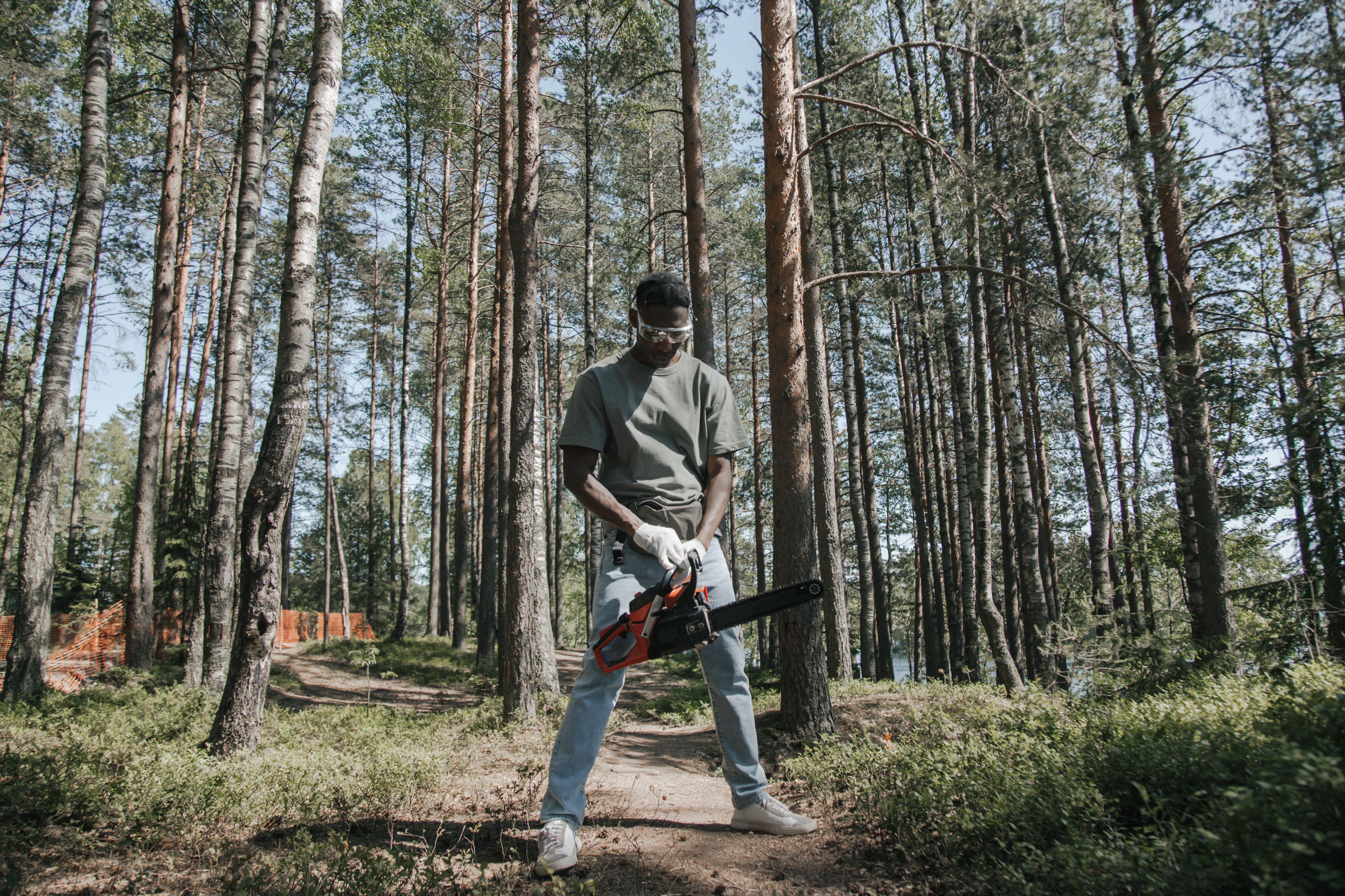 Experienced tree care team